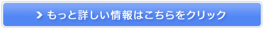 I[uIC͔̋͂ȖyWEI[uICFz̔TCg
